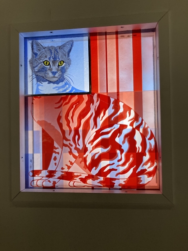 Katze.JPEG
