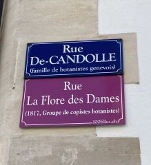 rue Dames.JPEG